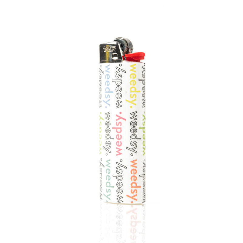 BIC Lighter
