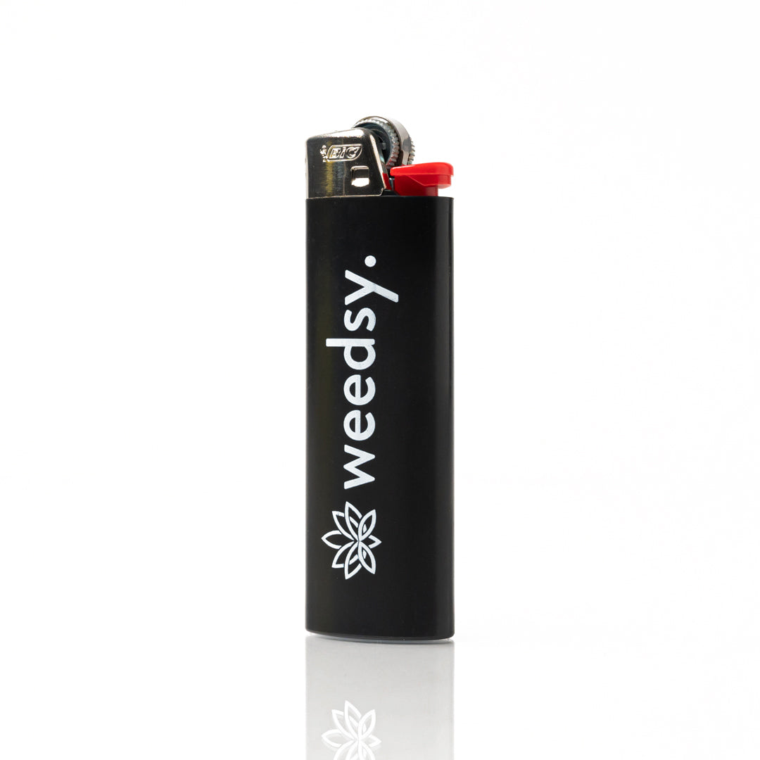 BIC Lighter